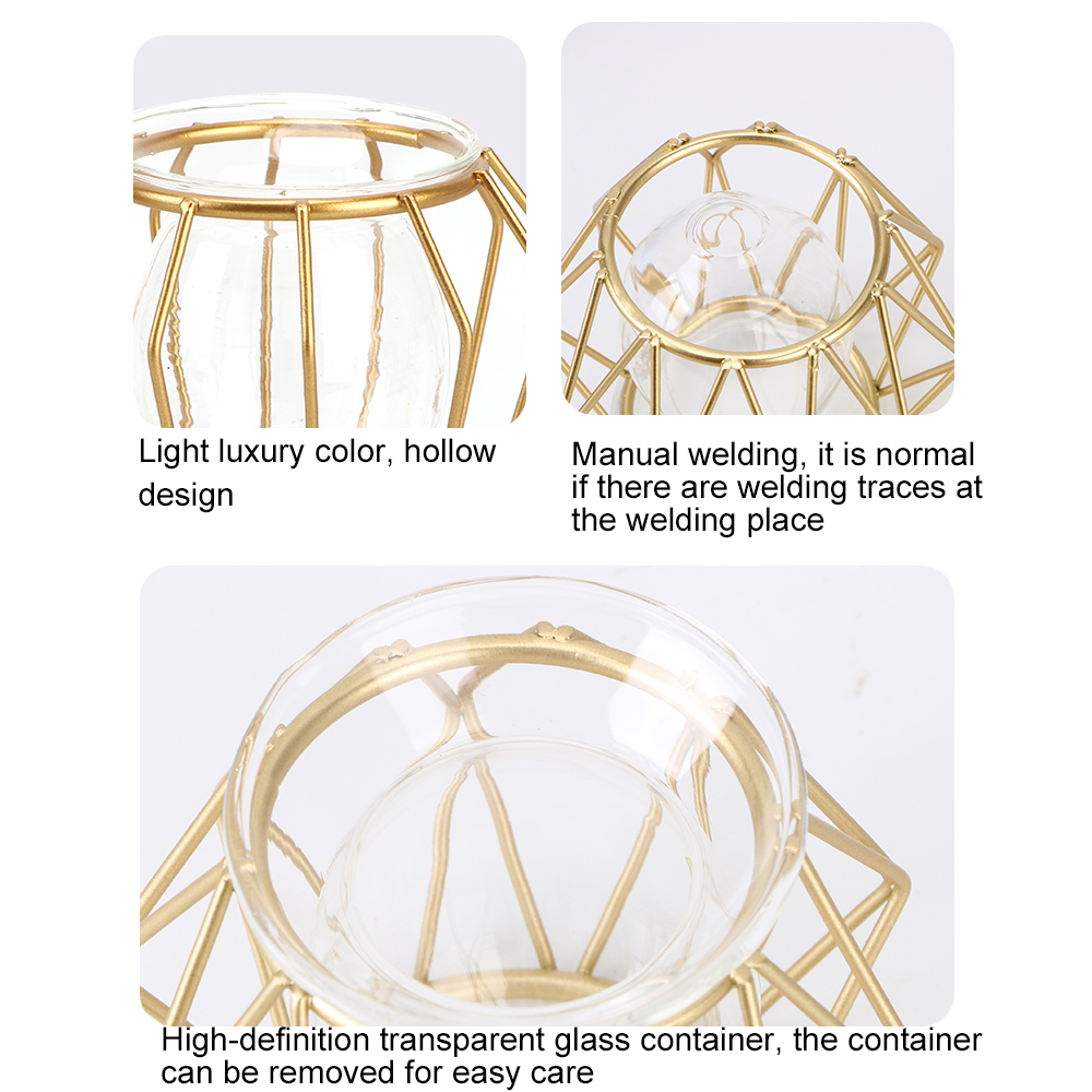 Hydroponic Plant Flower Iron Line Vase Nordic Golden Glass Vase - Image 6