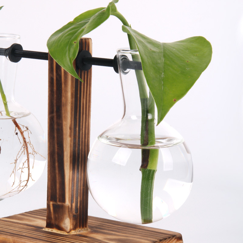 Hydroponic Plant Terrarium Vasevase Decoration Home Glass - Image 5