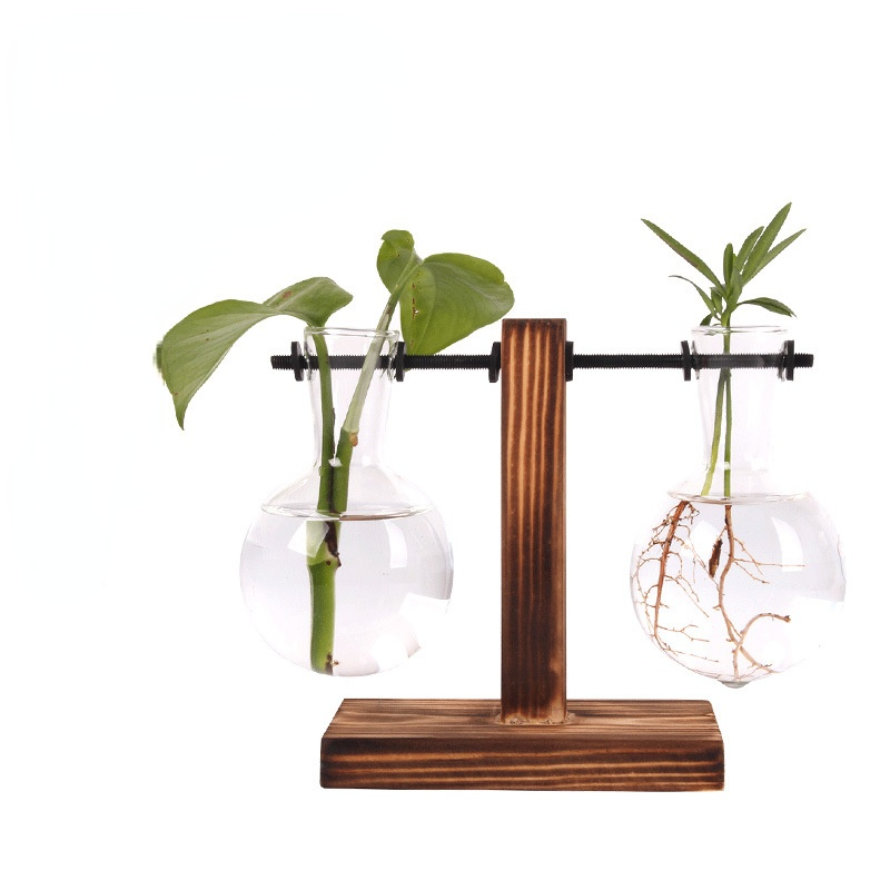 Hydroponic Plant Terrarium Vasevase Decoration Home Glass - Image 2