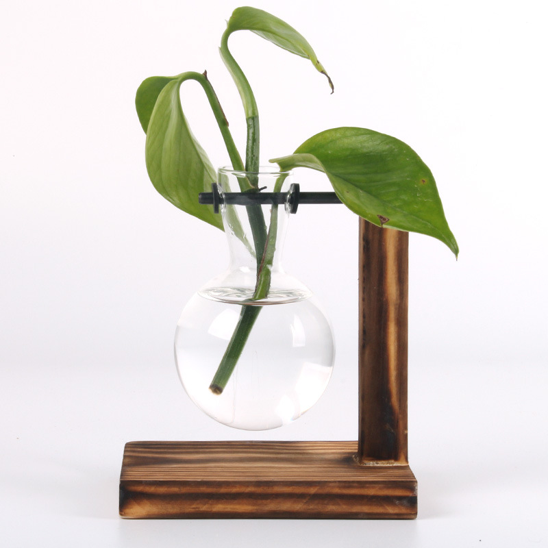 Hydroponic Plant Terrarium Vasevase Decoration Home Glass - Image 7