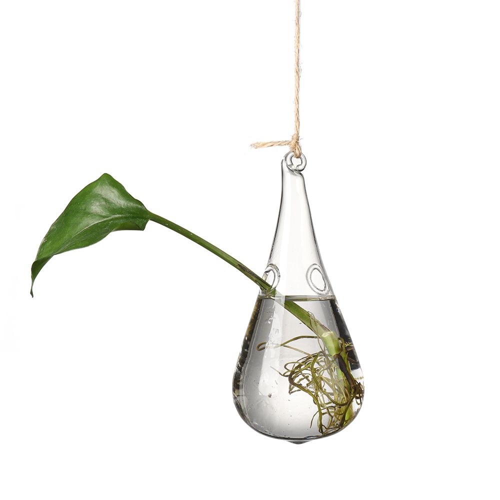 Creative Garden Hanging Glass Ball Vase Hydroponics Flower Plant Pot - Image 2