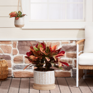 6/12inch Nested Planters Flower Pot For Indoor Plants, 2-Pack