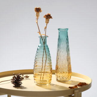2PCS Embossed Transparent Glass Vase Set