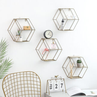 Iron Hexagonal Grid Wall Frame Collection Rack