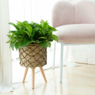 Round Woven Plant Flower Pots Stand With Legs