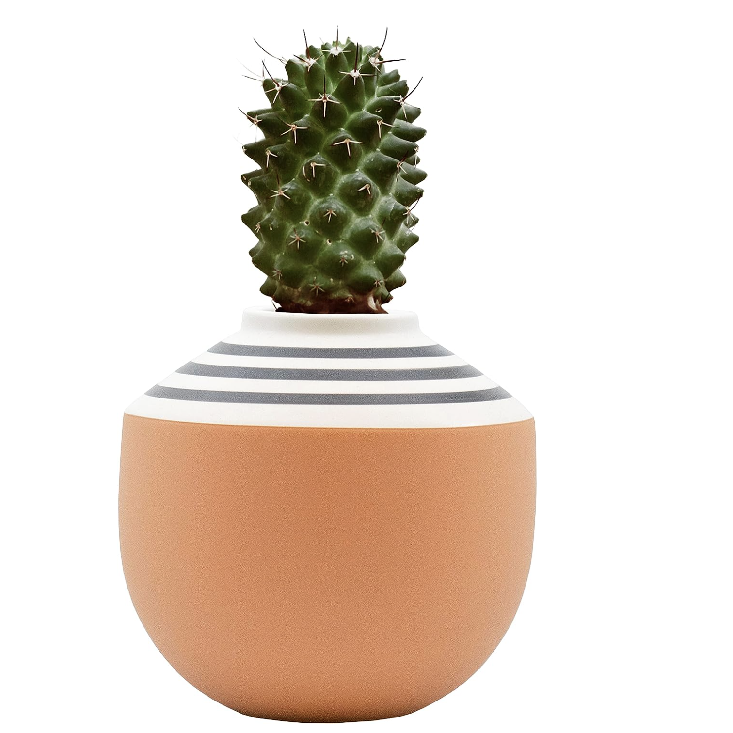 Modern Ceramic Flowers Vase for Home Decoration - Image 2