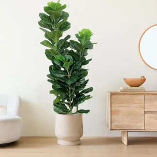150cm Tropical Tree Large Artificial Ficus Lyrata Plant For Home Office Decor