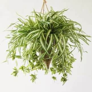 Flair Flower Artificial Green Lily in Hanging Pot Artificial Plant for Home Decor