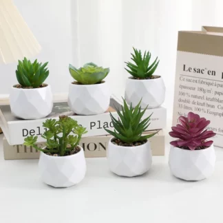 6PCS/Set Mini Artificial Succulent Bonsai Plants Plants Decor