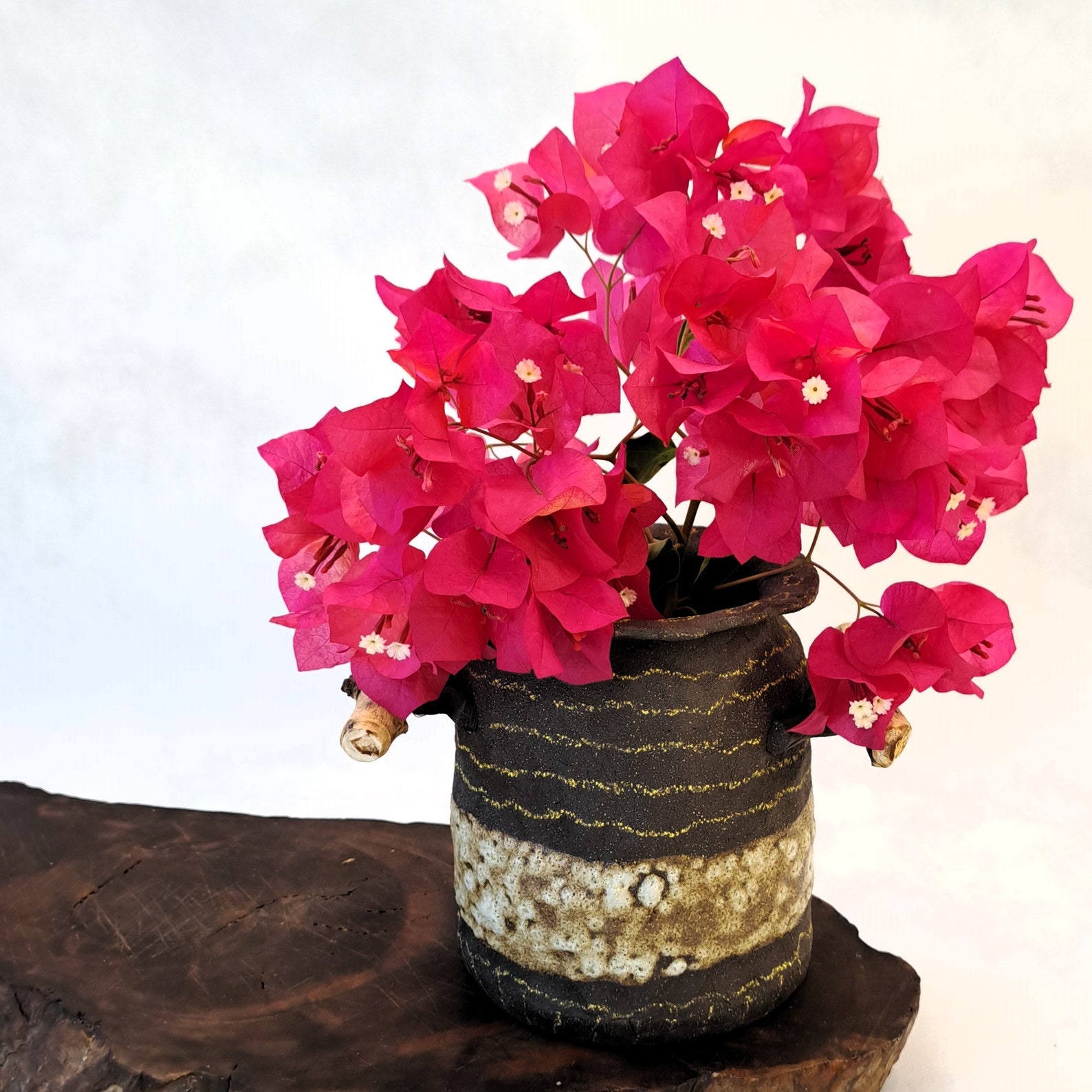 Rustic Chic Ceramic Vase With Natural Branch Handles - Image 3