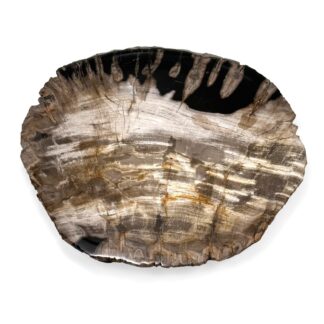 Rustic Petrified Wood Serving Plate