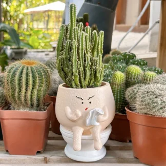 Funny Ghost Toilet Resin Succulent Planter Pot with Tissue Roll